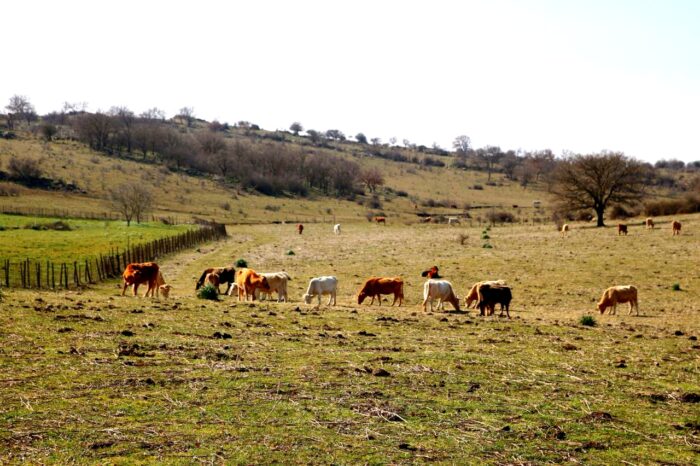 Blera, natura incontaminata e pranzo a Km 0 – Tour privato